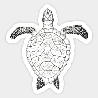 Black and White Sea Turtle Sticker